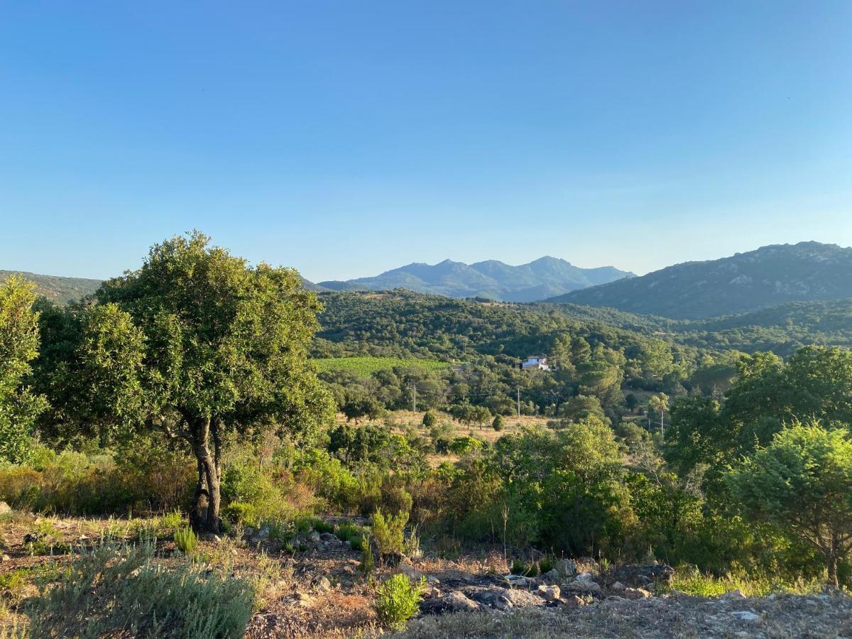 Li Paduleddi Country Guest House Олбия Екстериор снимка